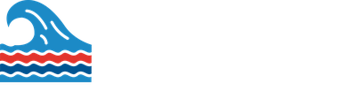 Dan VVS